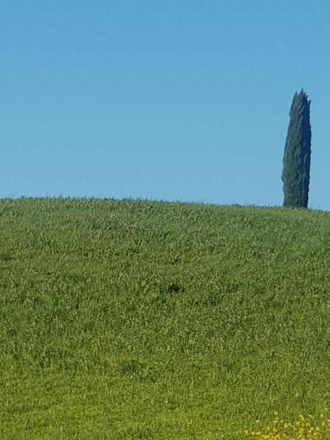 Apartamento Casa Per L'Osticcio Vista Sulla Val D'Orcia Montalcino Exterior foto