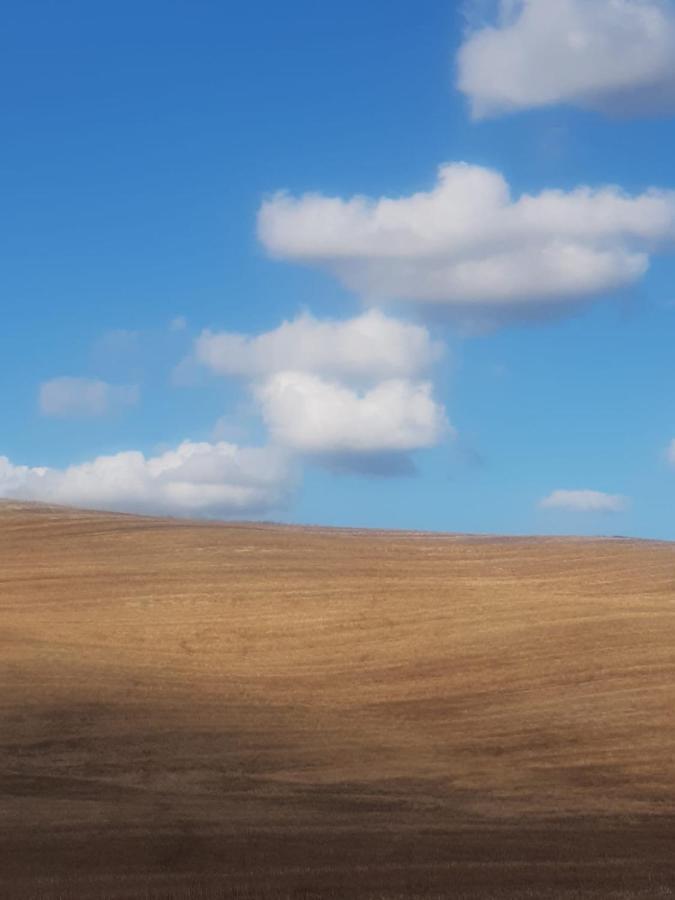 Apartamento Casa Per L'Osticcio Vista Sulla Val D'Orcia Montalcino Exterior foto