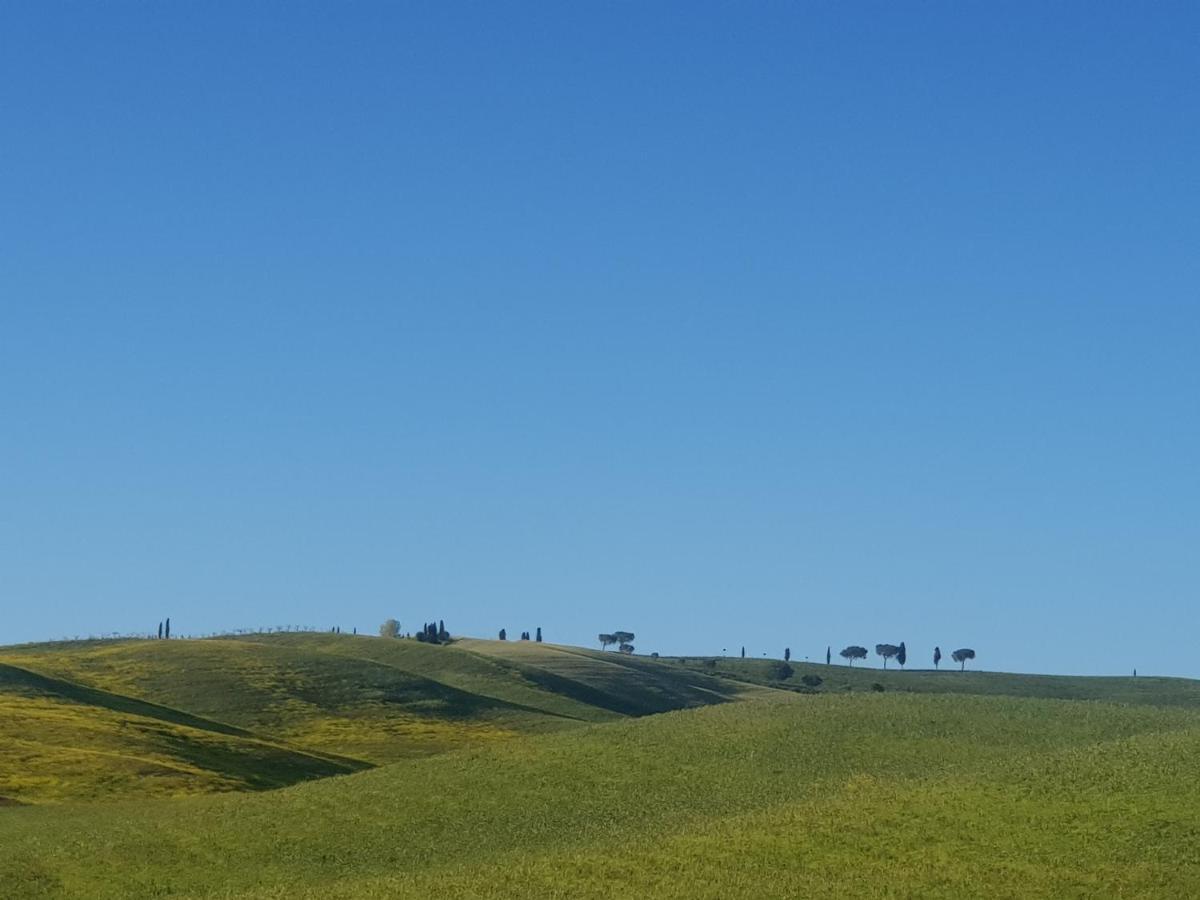 Apartamento Casa Per L'Osticcio Vista Sulla Val D'Orcia Montalcino Exterior foto