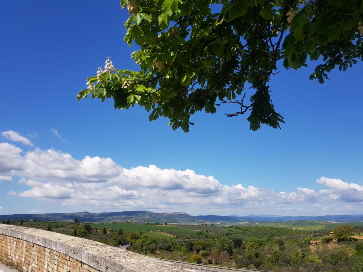 Apartamento Casa Per L'Osticcio Vista Sulla Val D'Orcia Montalcino Exterior foto