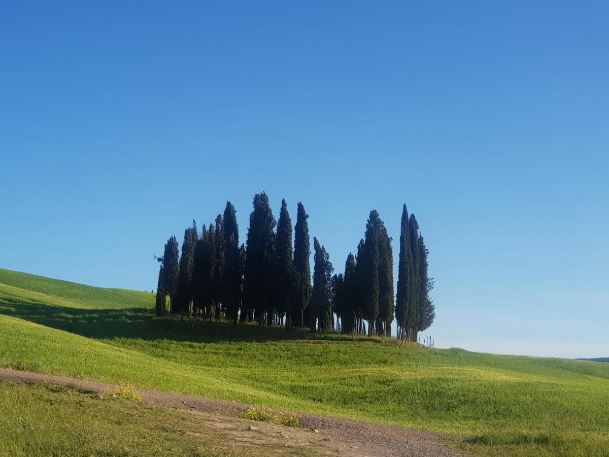 Apartamento Casa Per L'Osticcio Vista Sulla Val D'Orcia Montalcino Exterior foto