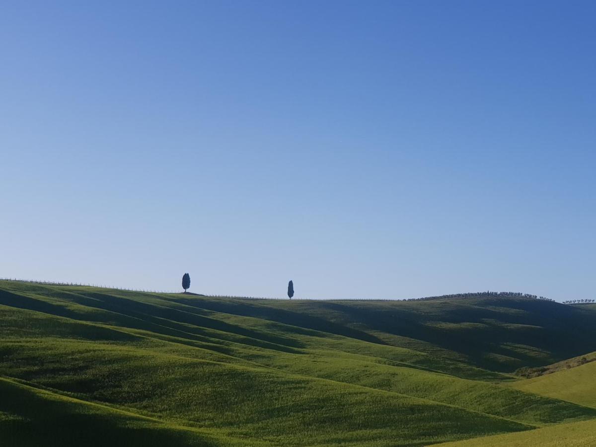 Apartamento Casa Per L'Osticcio Vista Sulla Val D'Orcia Montalcino Exterior foto