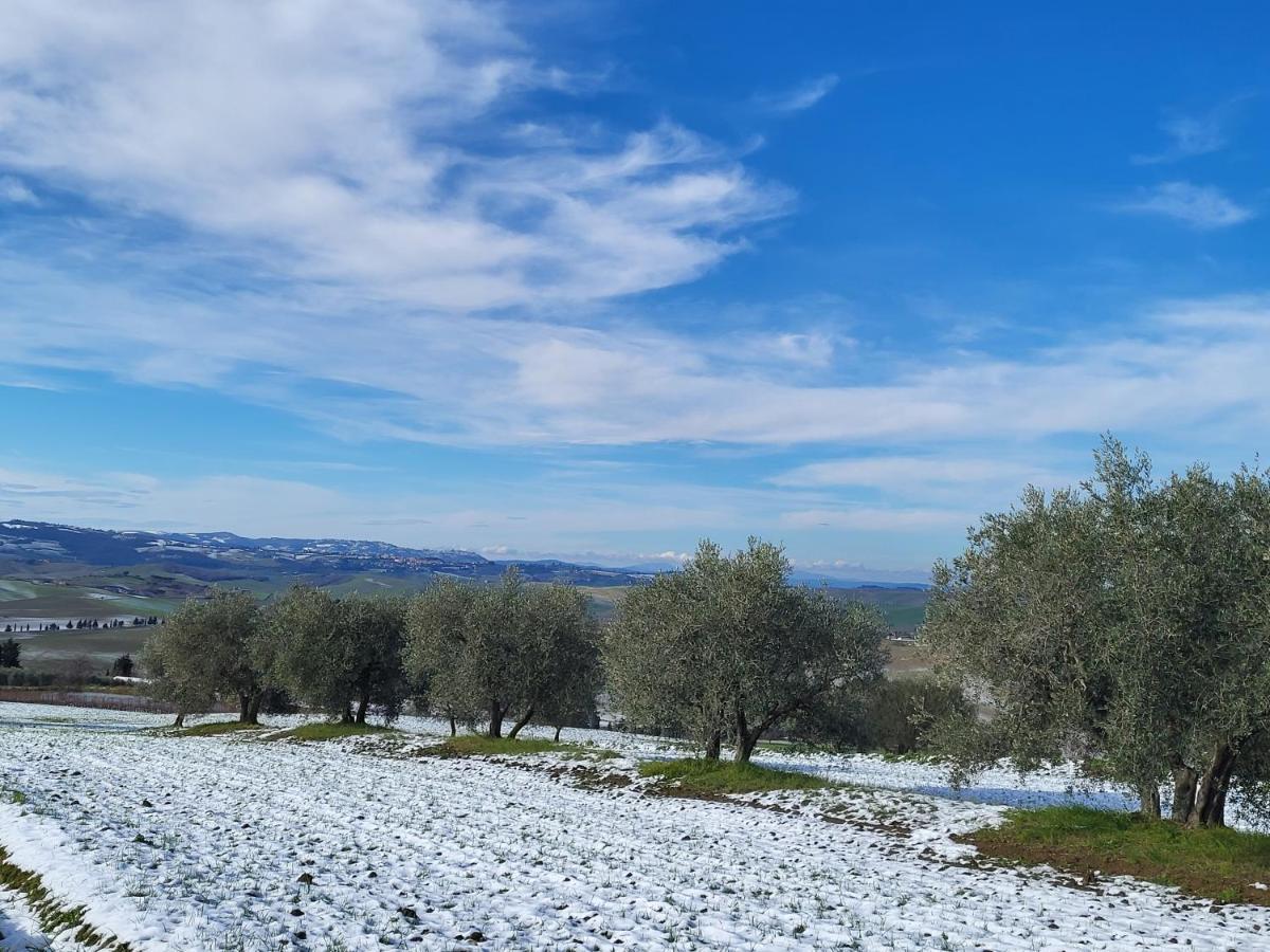 Apartamento Casa Per L'Osticcio Vista Sulla Val D'Orcia Montalcino Exterior foto