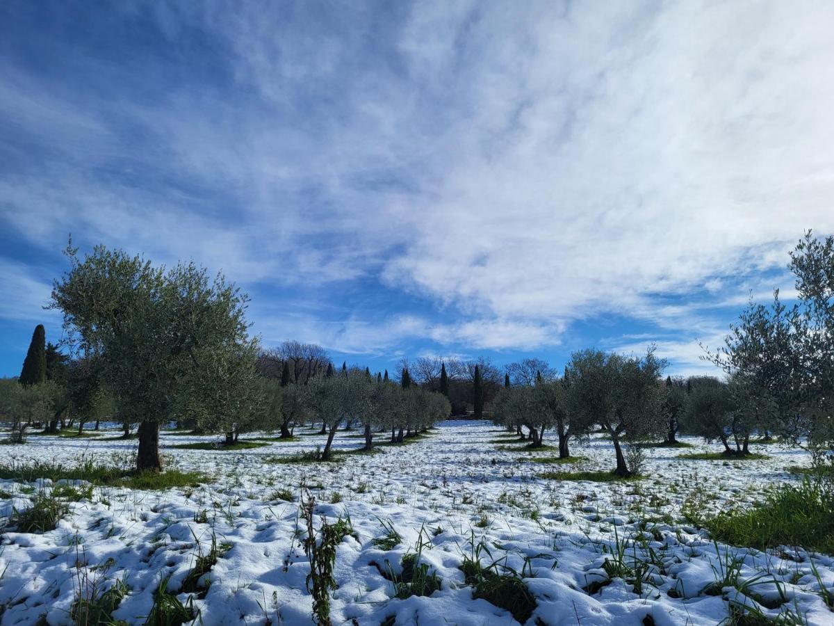 Apartamento Casa Per L'Osticcio Vista Sulla Val D'Orcia Montalcino Exterior foto